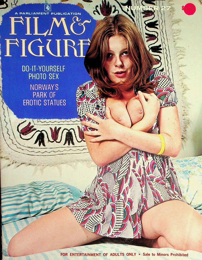 Film & Figure Magazine  Do-It-Yourself Photo Sex / The Timeless Nude  #27 1972 Parliament    081626lmp-GSC