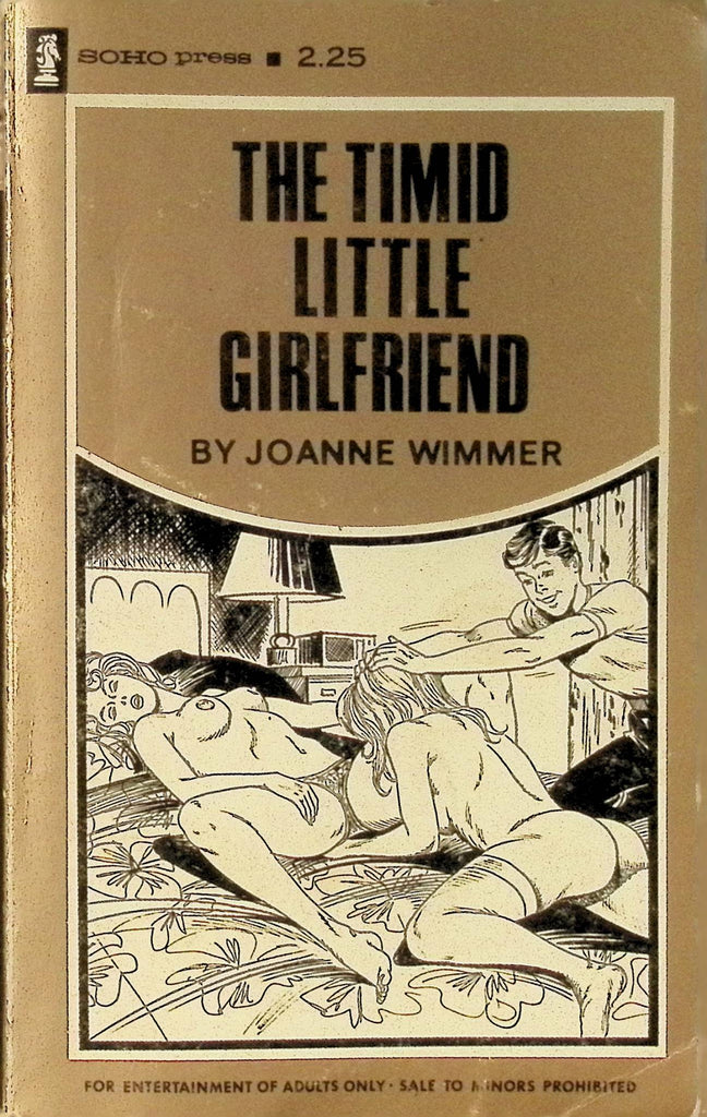The Timid Little Girlfriend by Joanne Wimmer 1975 Soho Press Adult Paperback Novel 082925AMP