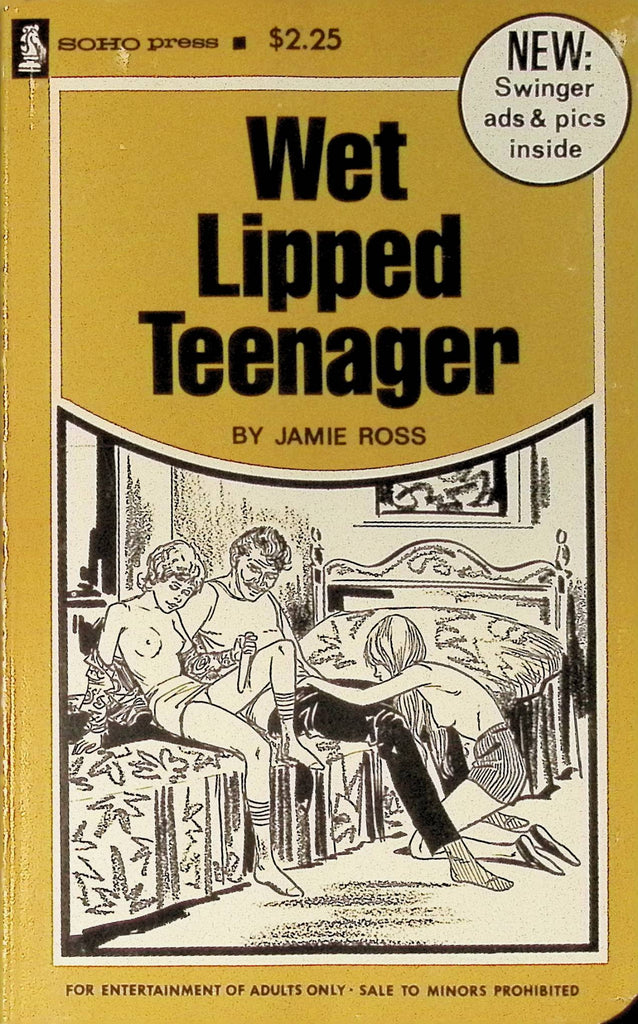 Wet Lipped by Jamie Ross 1976 Soho Press Adult Paperback Novel 082925AMP
