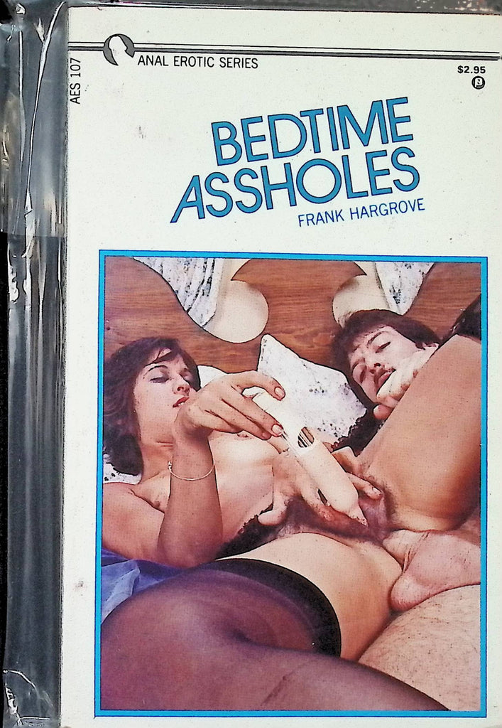 Bedtime Assholes by Frank Hargrove AES107 Anal Erotic Series Adult Paperback Novel -112124AMP