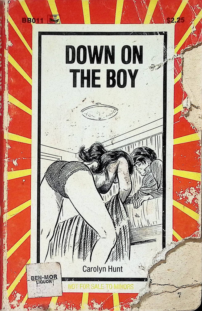 18+ Down on the Boy Carolyn Hunt BB011 1975 Adult Erotic Paperback Novel-052224AMP