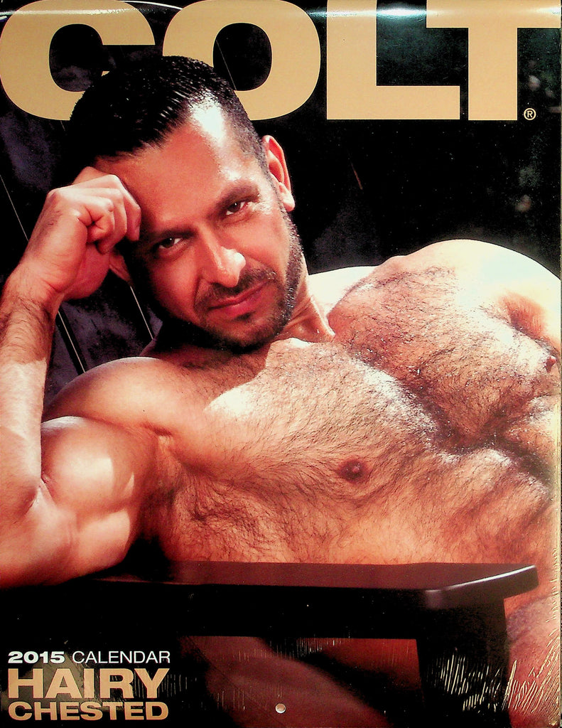 Colt 2015 Hairy Chested Gay Interest Wall Calendar  New/Sealed   041626lmp