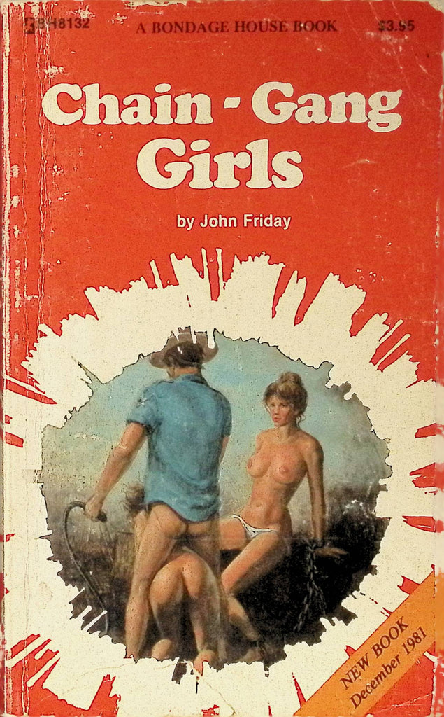 Bound for Pleasure by Paul Gable BH8109 1981 A Bondage House Book Greenleaf Classics Adult Paperback Novel 080625AMP