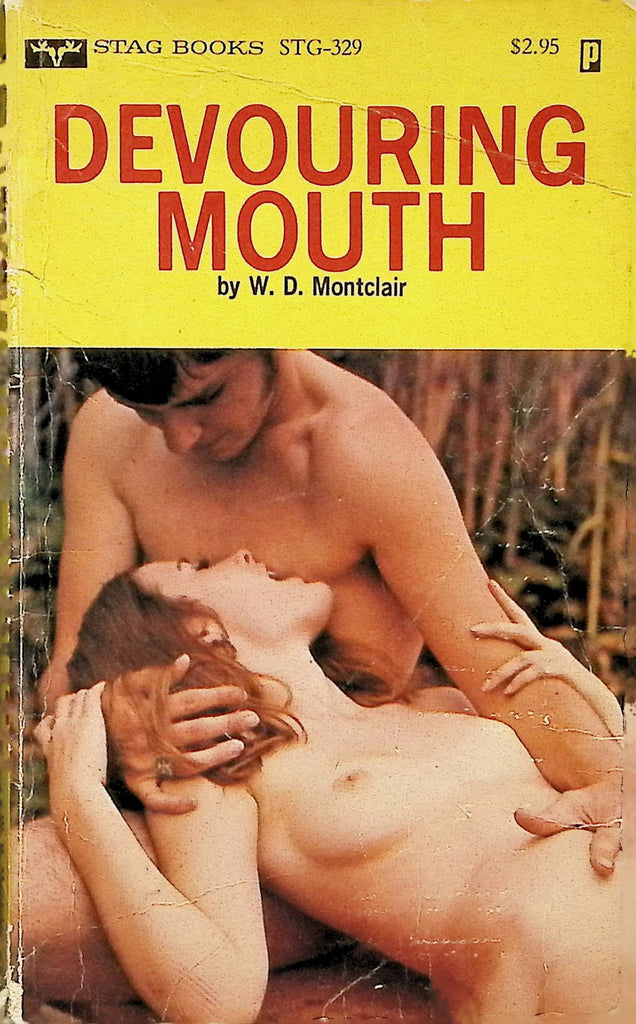 Housewife Thrills by W.D. Montclair STG-329 1980 Stag Books Adult Erotic Paperback Novel-060324AMP