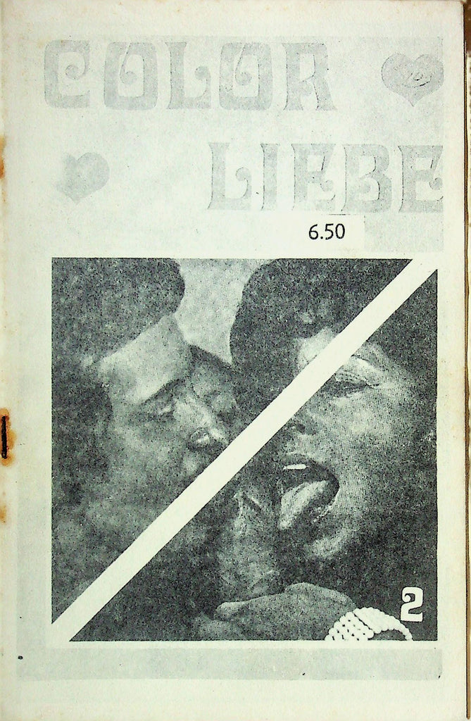 Color Liebe Men's Digest Magazine No.2 021925RP2