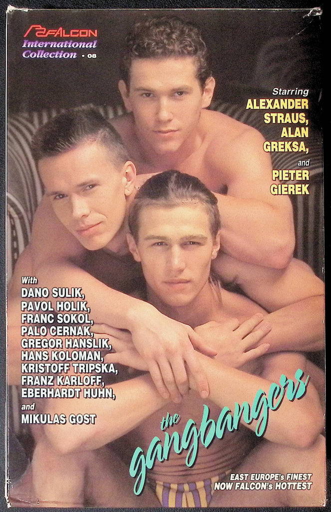 The Gangbangers Dano Sulik Falcon Studios Gay VHS 1995 092524JKVHS
