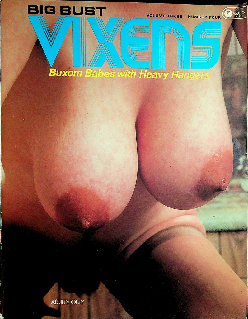 Big Bust Vixens Magazine  Lisa De Leeuw, Mary Waters and More!  vol.3 #4 1984   082426lmp-GSC