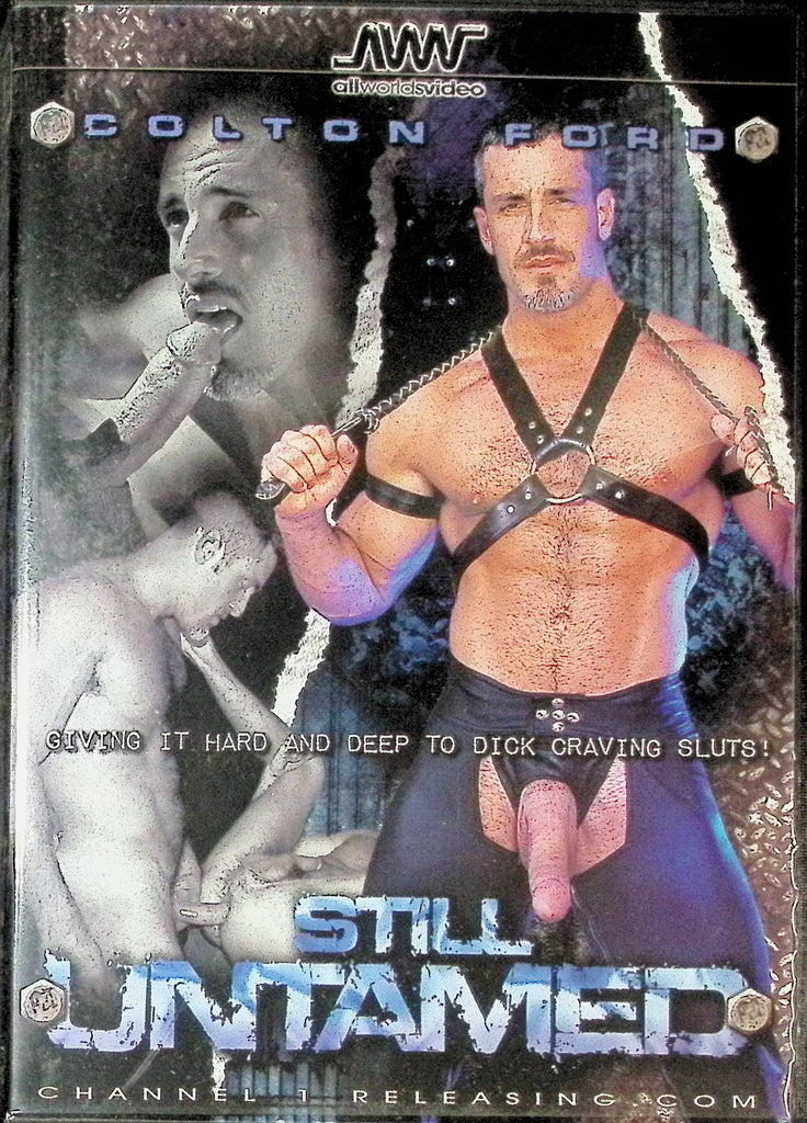 Still Untamed DVD Colton Ford, Scott Jeffries, Paul Johnson Channel 1 Releasing 032624tsdvd