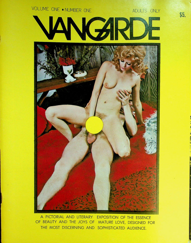 Vangarde Magazine   The Rehearsal For Love / Virgin Her Passion  vol.1 #1 1970's   082626lmp-GSC
