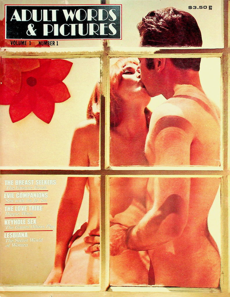 Adult Words & Pictures Magazine  The Breast Seekers / Keyhole Sex  vol.1 #1  January 1969    012826lmp