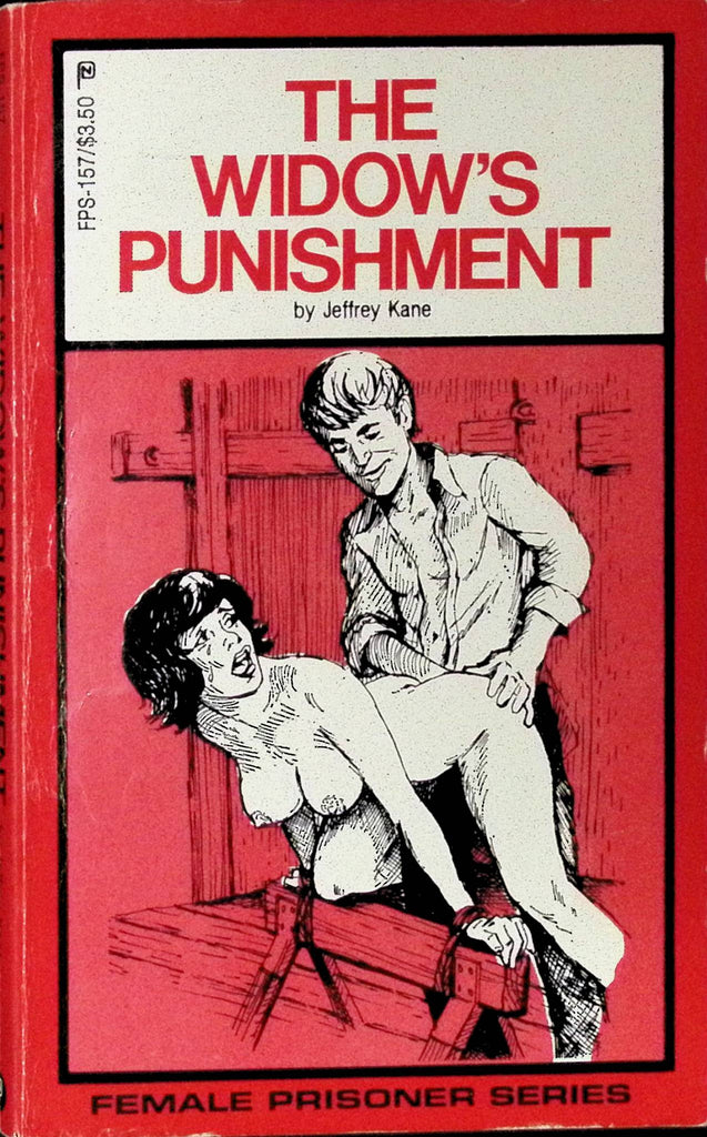 The Widow's Punishment by Jeffrey Kane 1981 Adult Novel-042324AMP