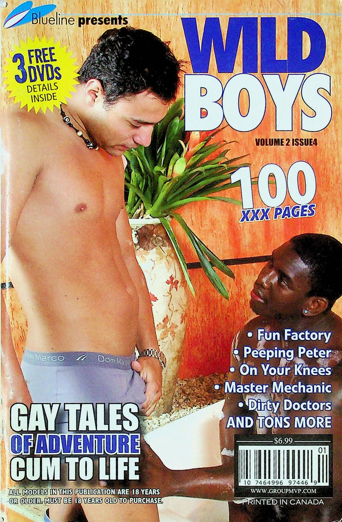 Blueline Presents Wild Boys Magazine Gay Tales Vol.2 No.4 052824RP2