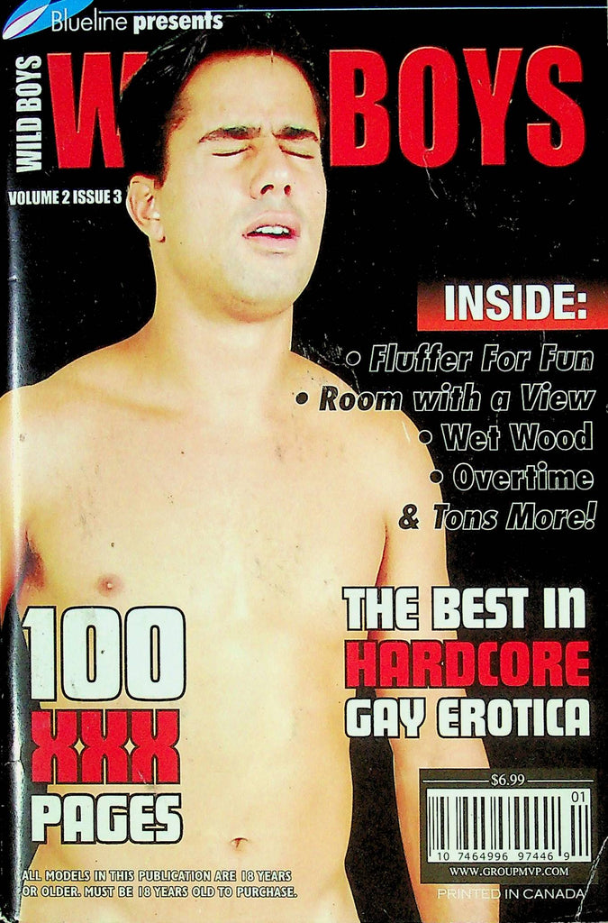 Blueline Presents Wild Boys Gay Digest Magazine Playtime For Roommates Vol.2 No.3 052824RP2