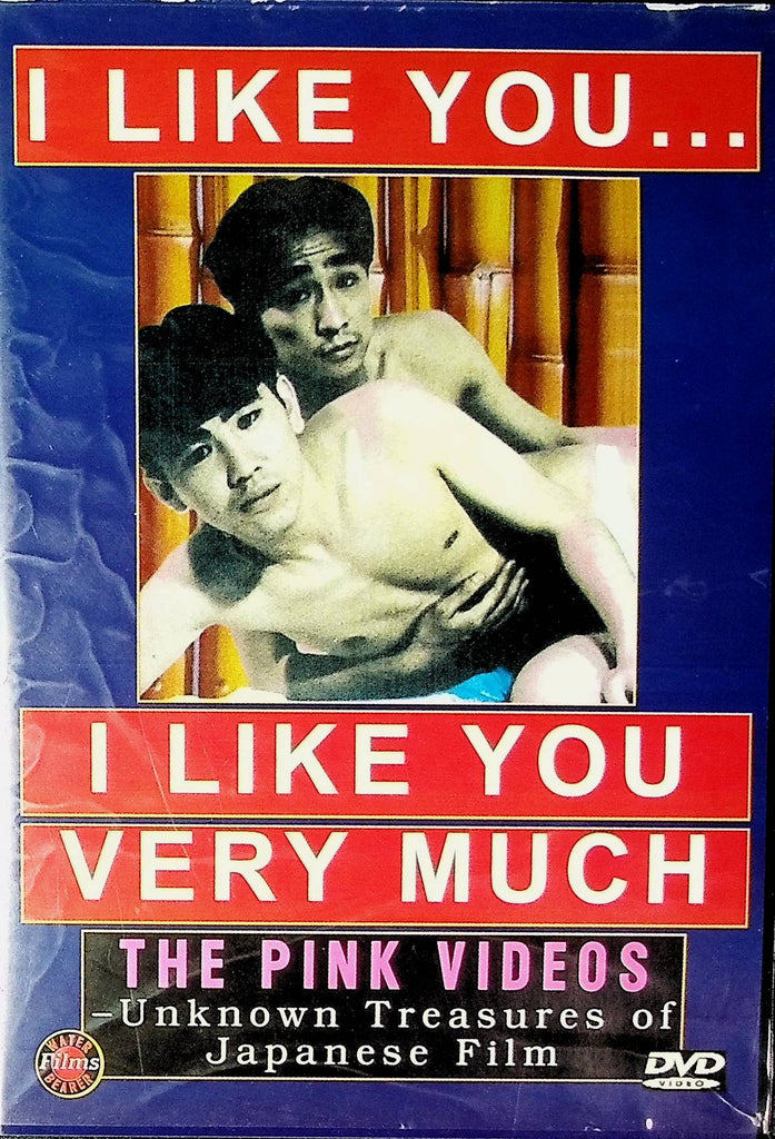 I Like You... I Like You Very Much DVD Shibuya Kazunori, Kitakaze Hisanori, Nishimoto Kazufumi 1994 Pink Films 041924tsdvd
