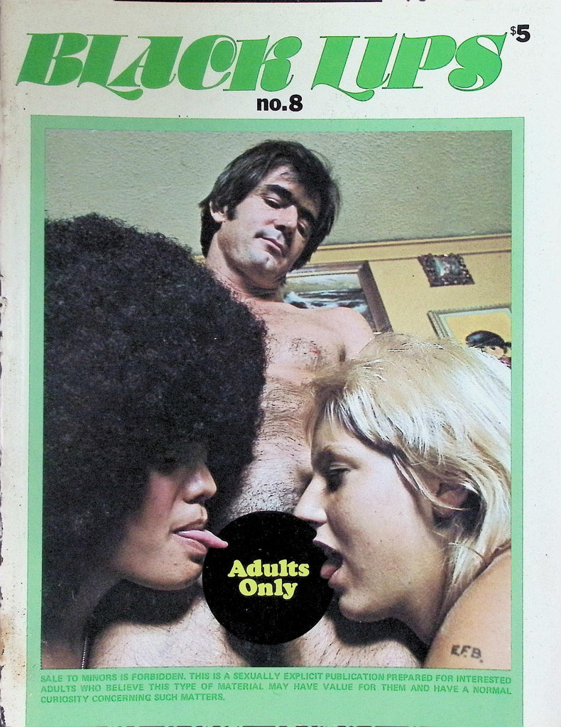 Black Lips Magazine #8 Beauty and the Feast 1980s 092626LLP2