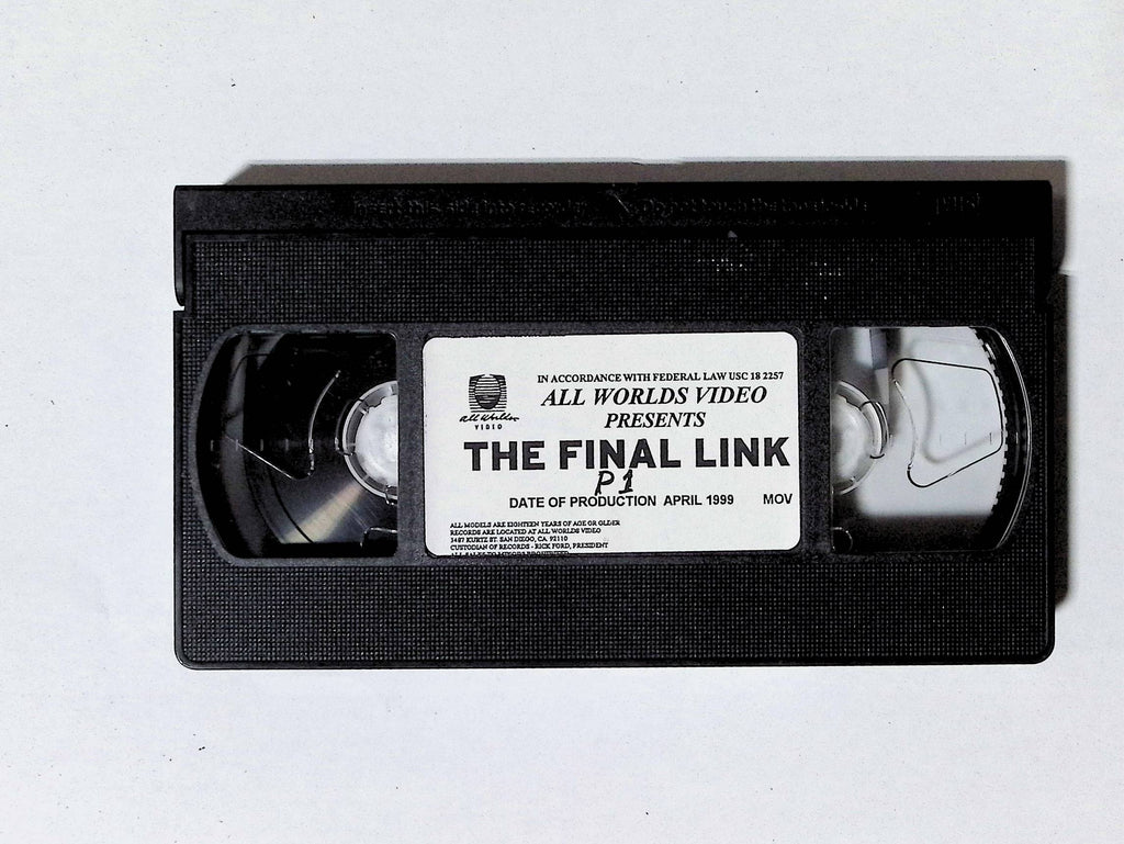 The Final Link Part 1 All Worlds Video Gay VHS 1999 103124JKVHS2