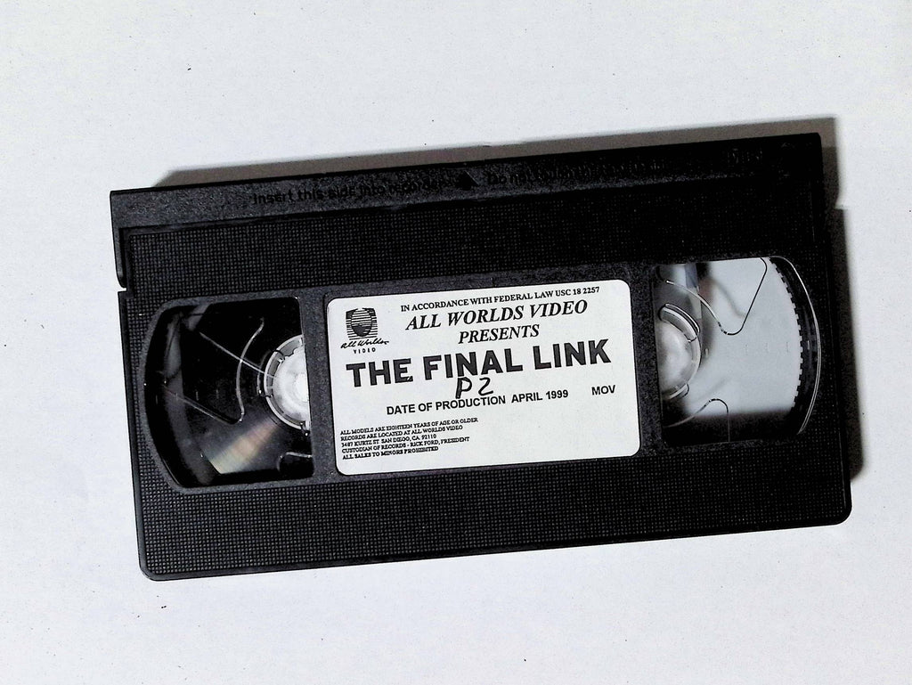 The Final Link Part 2 All Worlds Video Gay VHS 1999 103124JKVHS2
