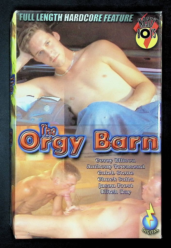 The Orgy Barn Nasty Boys Gay VHS 2001 Corey Ellison Anthony Townsend 043025DMVHS