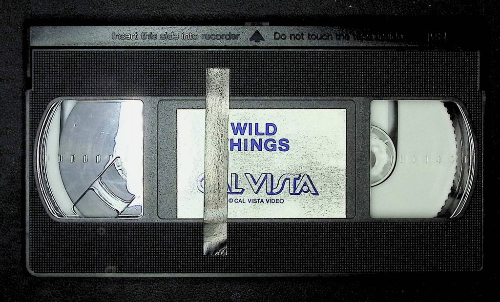 Wild Things Cal Vista VHS 022525DMVHS3