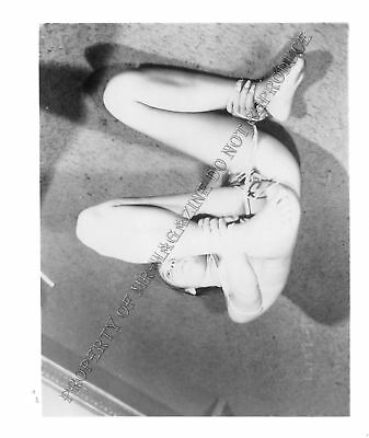 Adult Photo Vintage B&W 4x5 Bondage Beautiful Brunette Bound Dominated 122XU