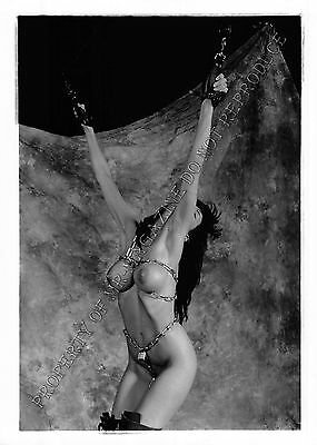Adult 1990s B&W Photo 5x7 Bondage MILF Ashley Renee Chained & Suspended 7NE