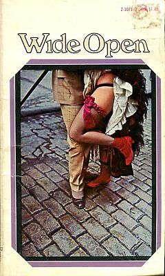 Wide Open Novel by Jem Grove Press 021618lm-ep3