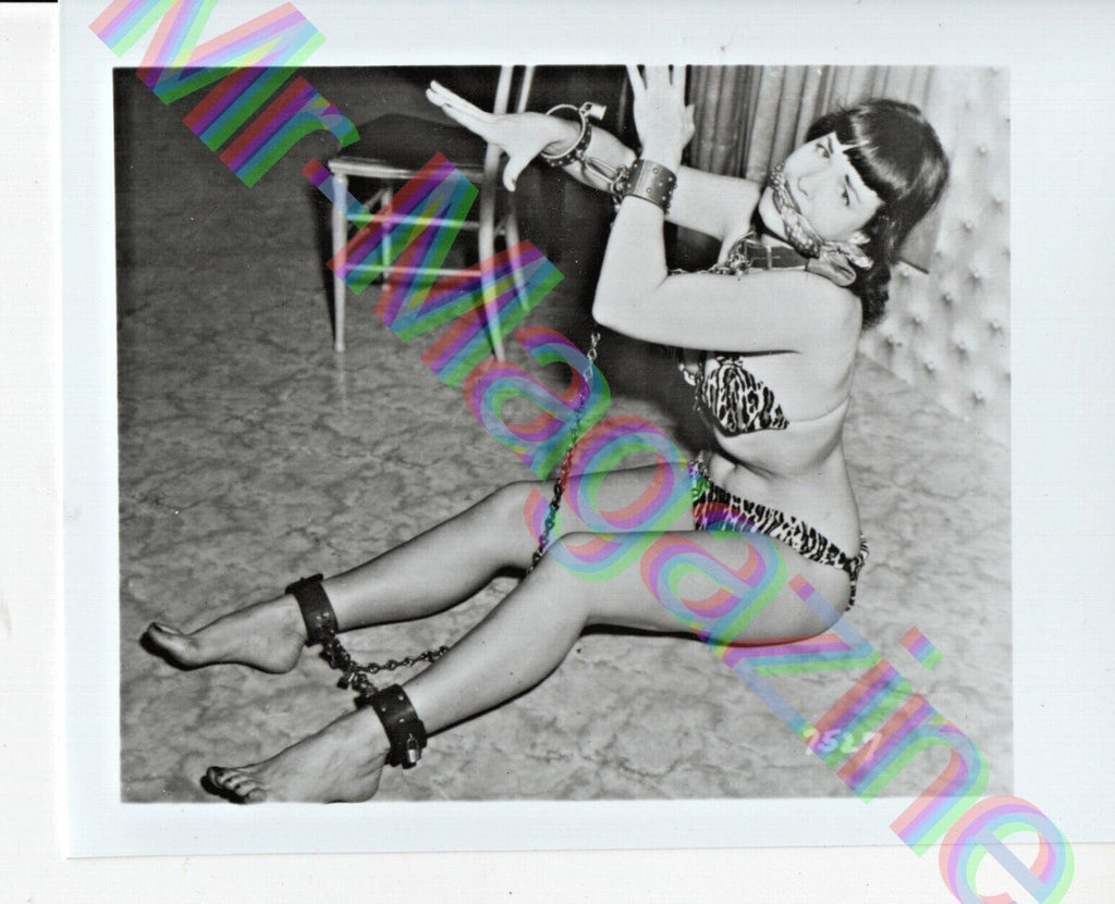 Vintage B&W Risque Pinup 4"x5" Sexy Bettie Page Cheesecake BL5