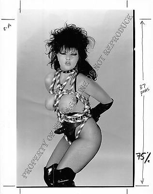 Adult B&W Photo 4.5x6” Print Bondage Busty Brunette MILF Bound & Whipped AA.7