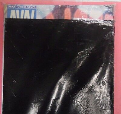 Adult Video News Magazine Adult Video Store October 2001 New 061413lm-epa2