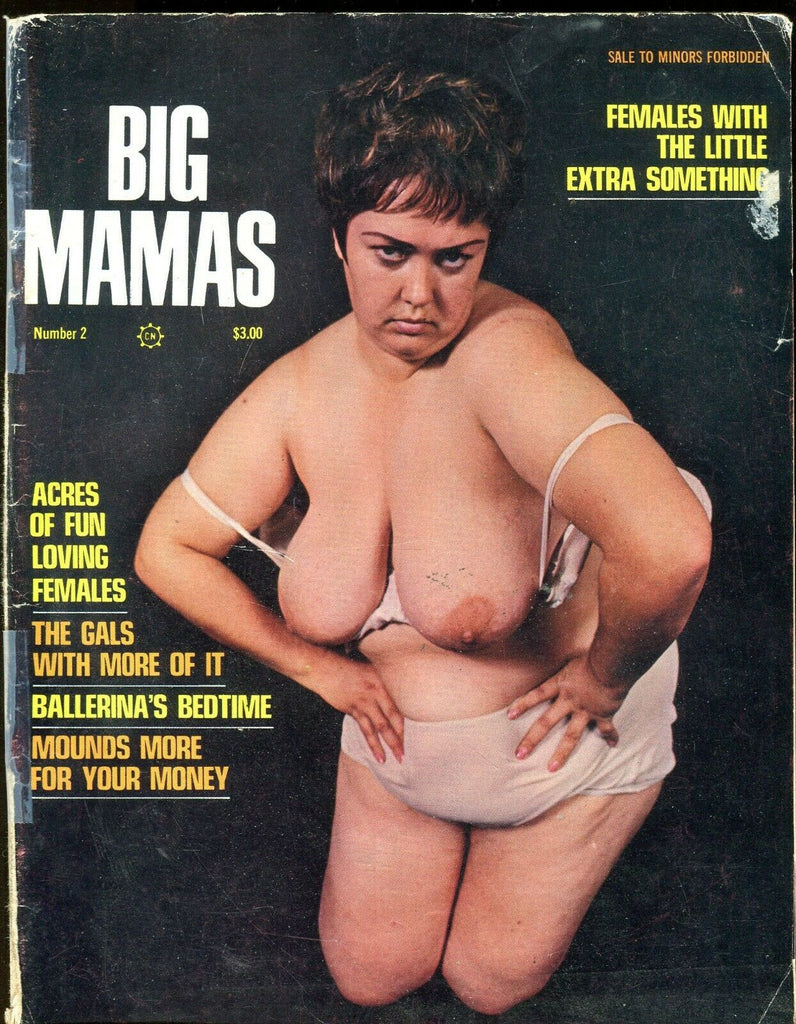 Big Mammas' Magazine Little Extra Something #2 1970 071919lm-ep - Used