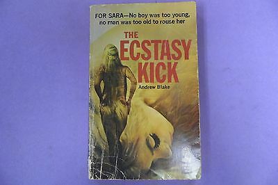 The Ecstasy Kick Adult Novel by Andrew Blake 022613lm-epa2