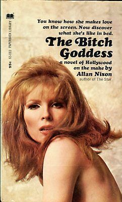 The Bitch Goddess Adult Novel by Allan Nixon 1969 042314lm-epa