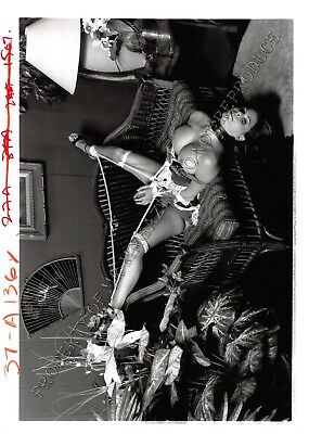 Adult Photo 1990s B&W 5x7 Bondage Queen Ashley Renee Bound & Dominated 85WE