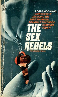 The Sex Rebels Adult Novel by Christopher Storm 1967 042314lm-epa