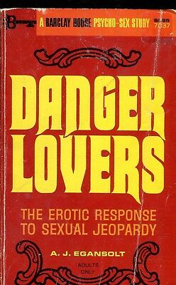 Danger Lovers Novel by A.J. Egansolt 1969 021618lm-ep3