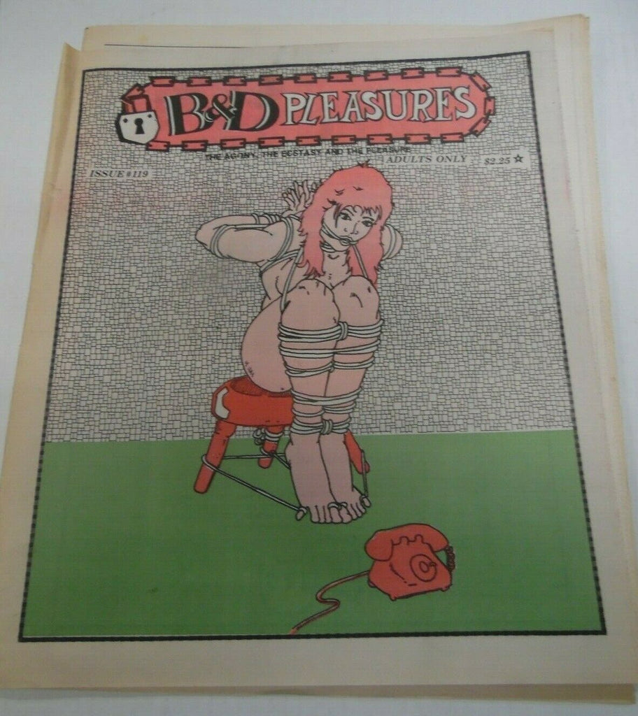 B & D Pleasures Newspaper #119 1992 121719lm-ep