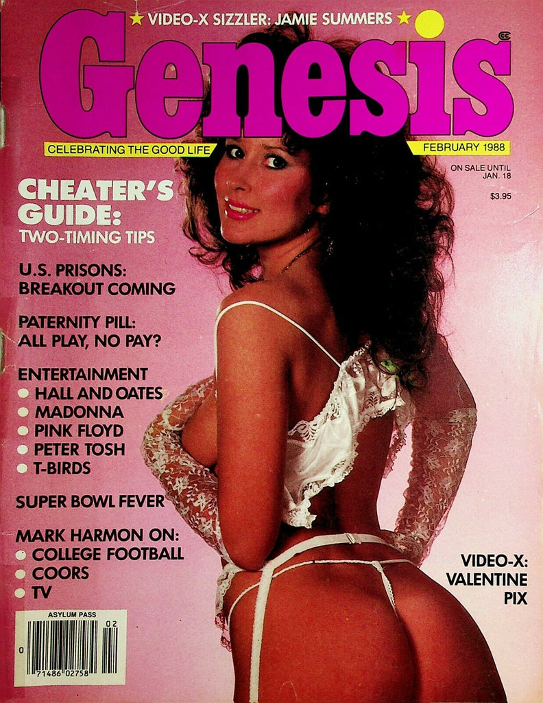 Genesis Magazine Jamie Summers/ Cheater's Guide February 1988 101720lm-ep