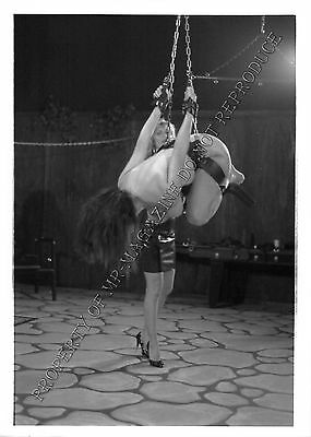 Adult 1990s B&W Photo 5x7 Bondage MILF Ashley Renee Bound and Dominated 302NN