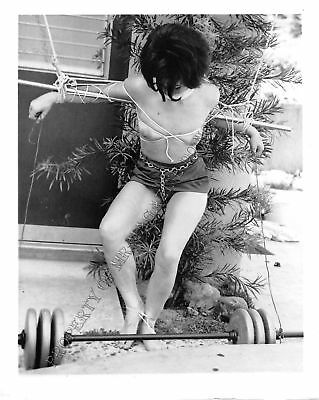 Adult Photo Vintage B&W 4x5 Bondage Beautiful Brunette Bound Dominated 217XU
