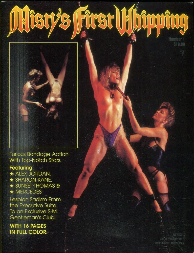 Misty's First Whipping Sharon Kane/ Sunset Thomas #1 1994 031419lm-ep