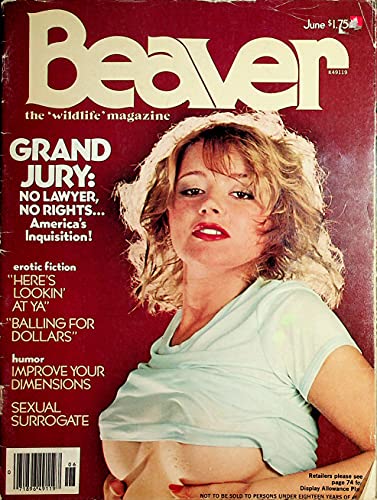 Beaver Men's Magazine Centerfold Girl Candy 1978
