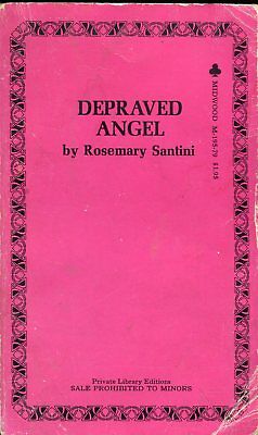 Depraved Angel Novel by Rosemary Santini 1971 Midwood 021618lm-ep3