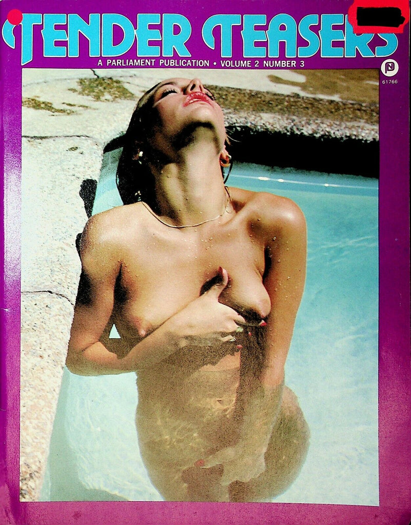 Tender Teasers Magazine Renee's Therapy vol.2 #3 May 1981 122820lm-ep