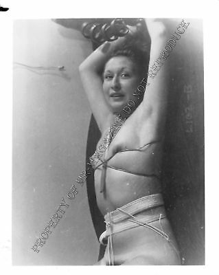 Adult Photo Vintage B&W 4x5 Bondage Beautiful Brunette Bound Dominated 283XU