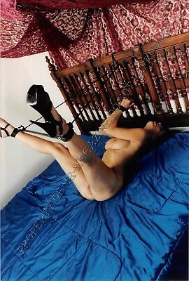 Adult 1990s Color Photo 4x6 Bondage Queen Ashley Renee Bound & Dominated 82SF