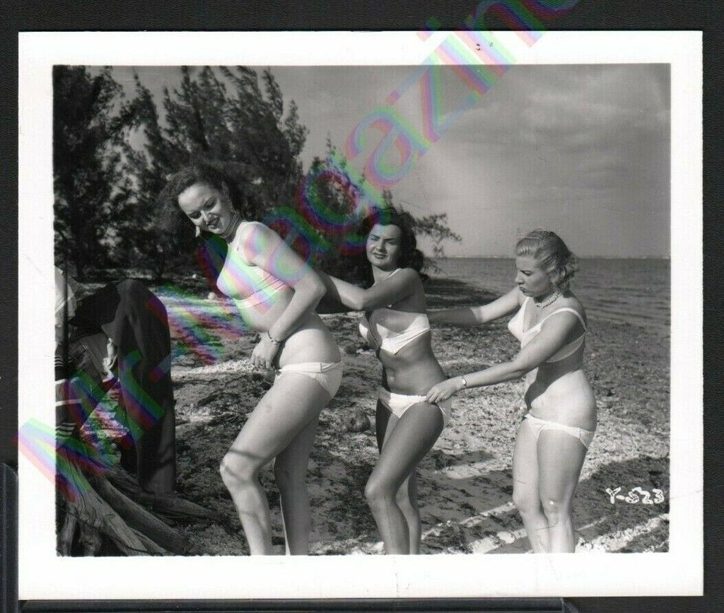 Vintage B&W Risque Pinup 4" x 5" Sexy Brunettes and Blonde Cheesecake AU33