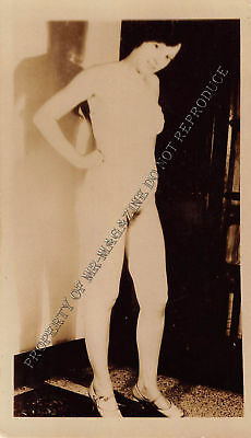 Adult Vintage B&W Photo 2.5x4 Beautiful Brunette Undressing Strip Tease 147HV