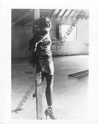 Adult Vintage B&W Photo 4x5 Bondage Sexy Brunette Bound & Dominated Chained 47HS