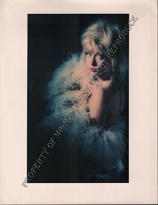 Nina Hartley Beautiful Original 1980s 11x14 Glamour Shot Photo iL