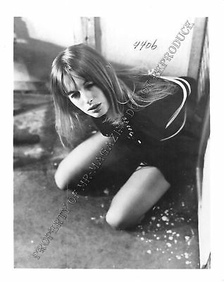 Adult Photo Vintage B&W 4x5 Bondage Beautiful Brunette Bound Dominated 64XU
